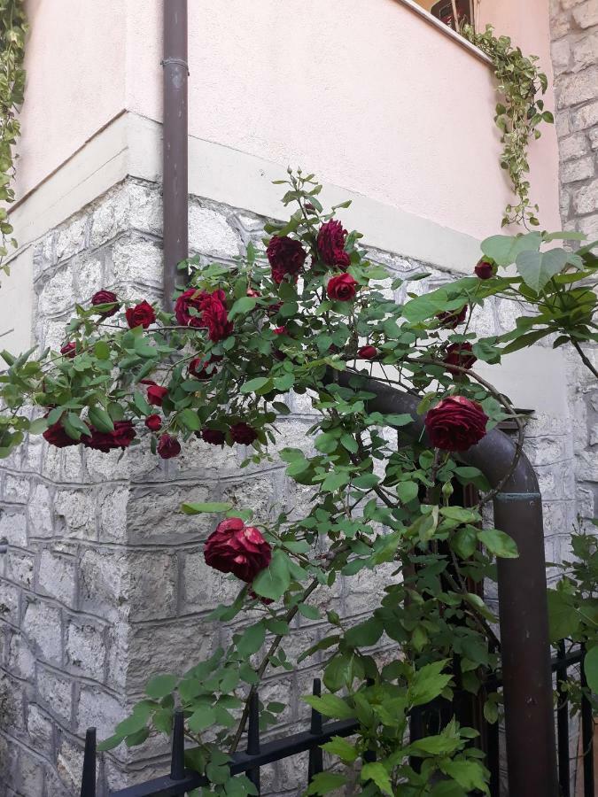 Ferienwohnung El Giardino Delle Rose..... Serre Di Rapolano Exterior foto