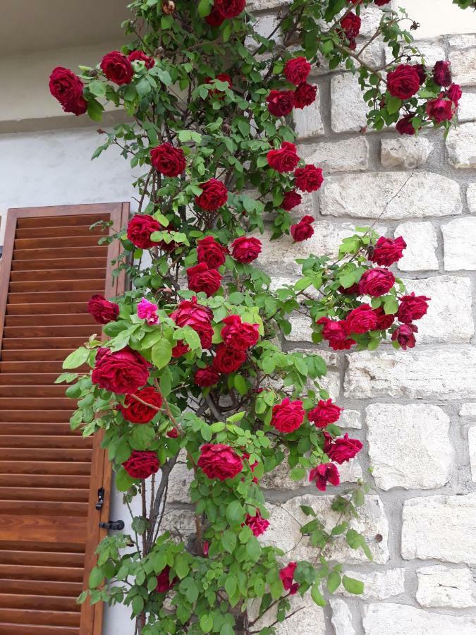 Ferienwohnung El Giardino Delle Rose..... Serre Di Rapolano Exterior foto